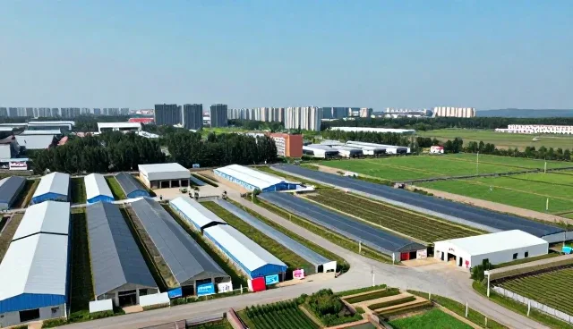 账号代运营中用户留存的性能表现与适用场景分析