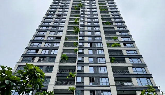 软件技术服务：本地部署与云服务的取舍分析
