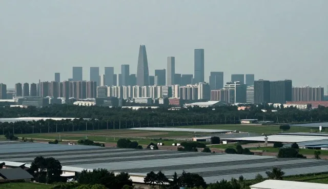 系统集成：技术咨询与培训的性能与适用条件分析