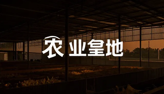 影视策划中的创意呈现技巧与执行要点