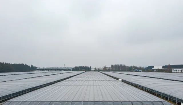 做网站建设公司：数据稳定性是核心竞争力