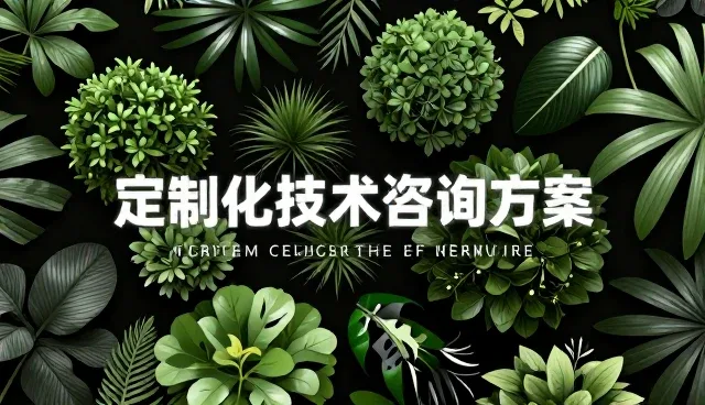 性能优化中适用条件的精准匹配策略