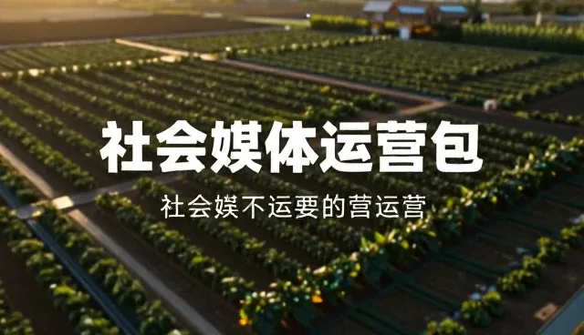 社交媒体运营包如何提升团队协作效率
