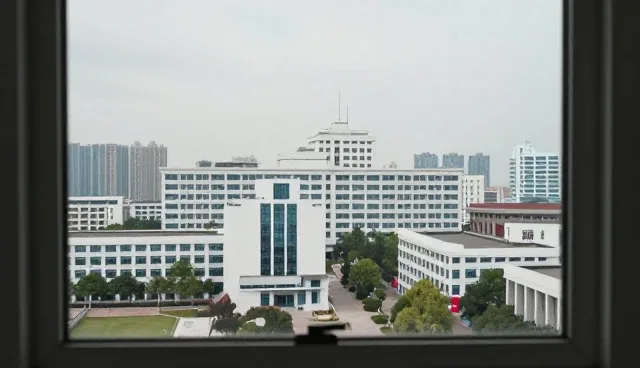 系统稳定性保障中的团队协作与常见问题处理