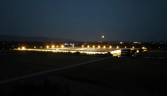 网站建设费用如何合理规划与控制