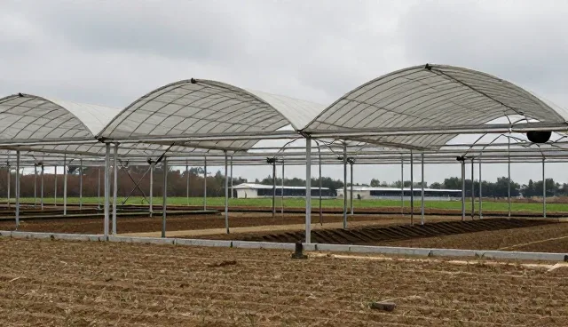 策划中的成本控制建议：澄清常见误区与优化流程