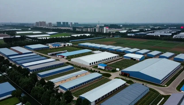 信息系统集成在资源分配中的成本控制策略