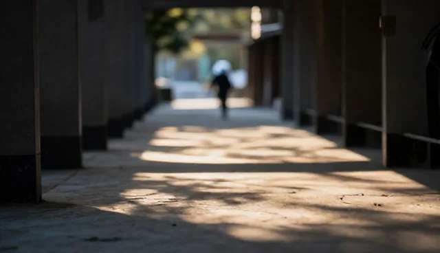 开荒保洁后维护建议与应用场景解析