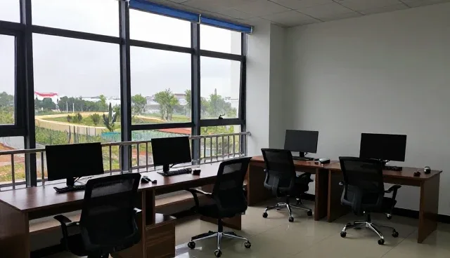 系统集成在本地化服务中的实际应用与挑战