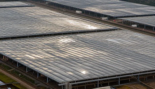 管理培训服务选型与适用场景分析