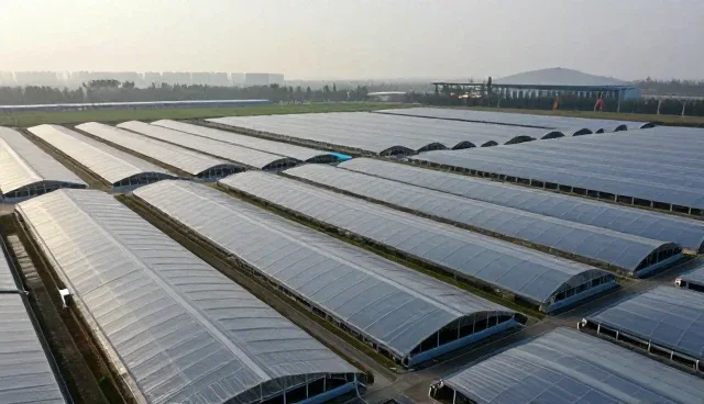 医疗服务管理办法适用条件的五大检查要点