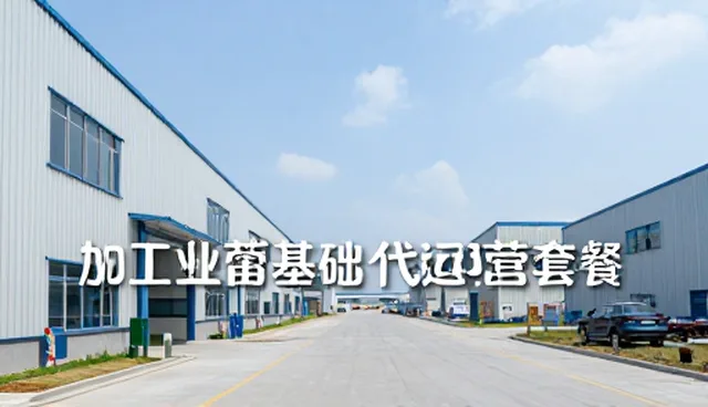 账号代运营中内容生产团队的高效协同与维护策略