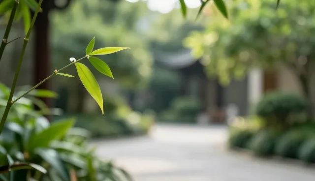 电商运营如何借助服务器技术应对流量高峰