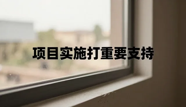项目风险评估中的选择困境与应对策略