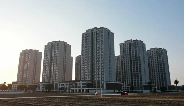 商务服务项目执行效率的提升策略与适用条件分析