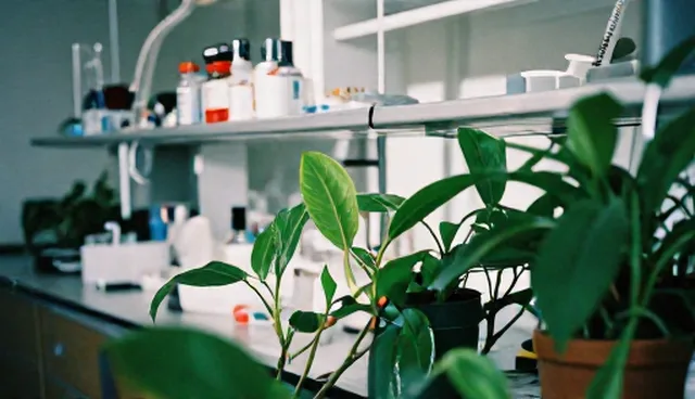 信息管理中系统稳定性保障的两个实际环节
