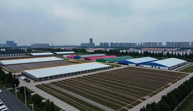 技术转让过程中企业需关注的五大风险与应对策略