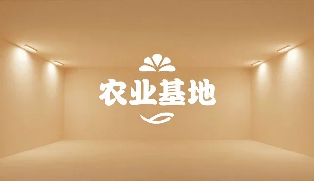 内容创作中的平面设计应用，提升品牌传播效果