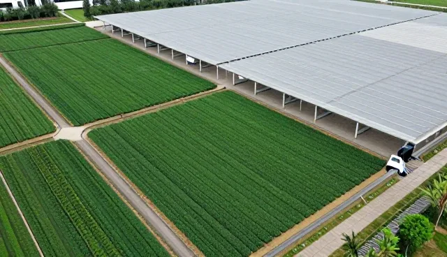 活动拍摄中内容分发的常见问题与解决方案
