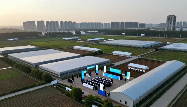 账号代运营中的内容维护与账号健康度管理