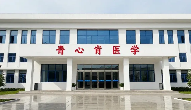 平面设计风格对账号代运营效果的影响分析