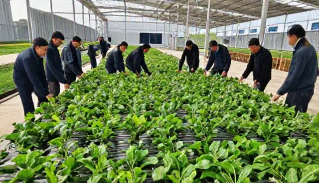仓储保鲜系统选型核对清单：关键点与注意事项
