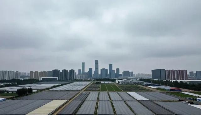 本地团队协作中的效率痛点及优化策略