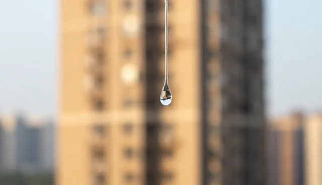 流程优化中的技术咨询服务应用建议