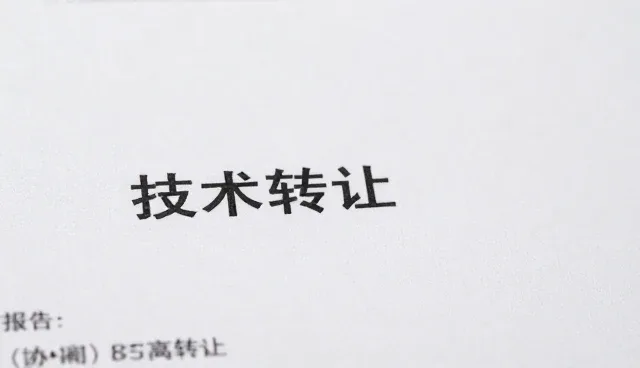 技术转让中的性能优化与适用场景分析