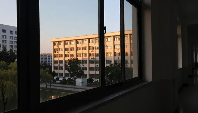 社交媒体内容分发中的创新与限制分析