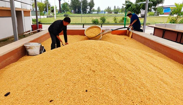 农机选型在蔬菜种植中的实际应用与优化路径