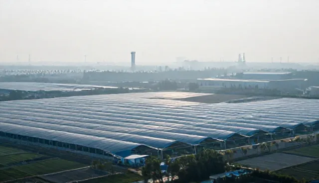 团队接待服务在旅游场景中的性能与适用条件分析
