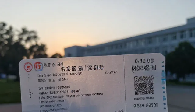 能力建设中的误区辨析与实际应用