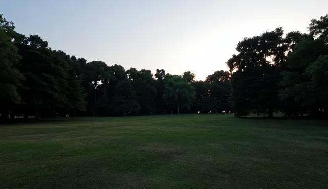 管理办法在提升组织性能中的实际应用分析