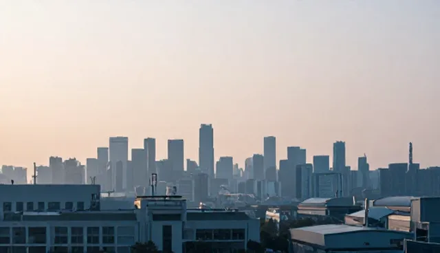 企业官网建设中如何应对域名性能优化问题