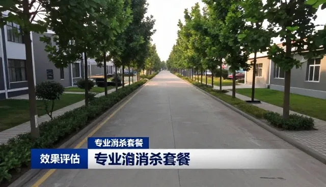 保洁服务性能与适用条件的实践分析