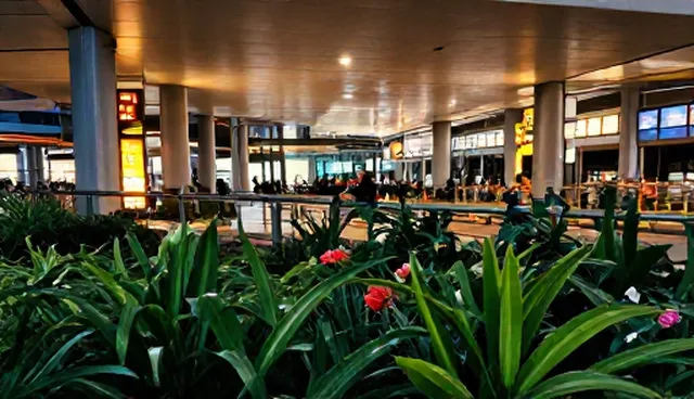 网站建设风格，如何契合用户实际需求