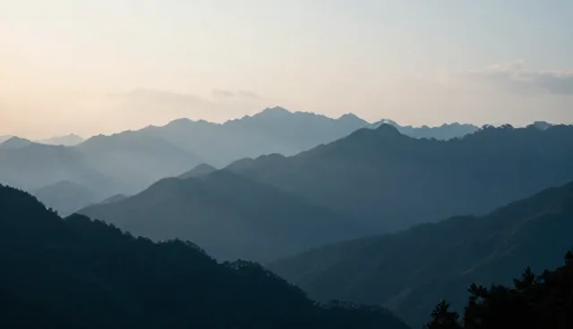 合作模式升级：客户复购场景中的应用策略