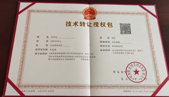 定制化开发中的技术转让授权包如何优化运维成本