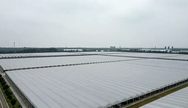 东莞关键词优化外包的两个实际环节解析