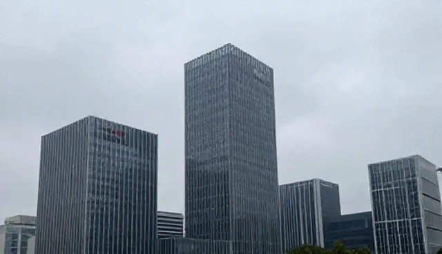 项目咨询的适用场景与限制条件分析
