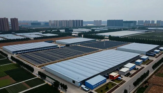 提升设备寿命：预防性维护在安装调试中的实践要点