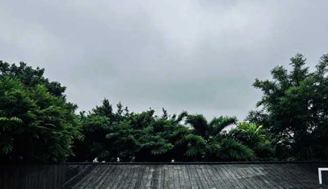 居家康复方案选型关注点：如何选择最适合的健康管理产品