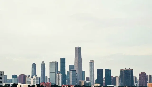 财税服务如何适应市场调研趋势的变化
