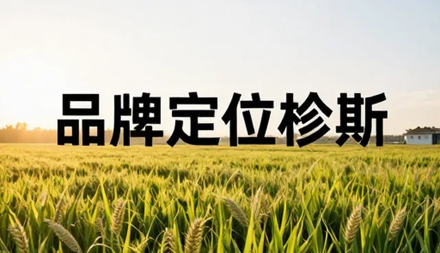 品牌咨询在不同客户群体中的性能表现与适用条件