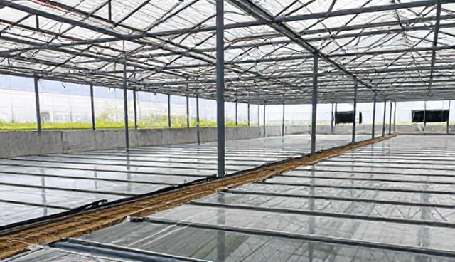 信息化方案中技术架构对性能与适用条件的影响分析
