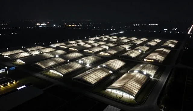 南京网站制作公司如何选择基础信息查询方式