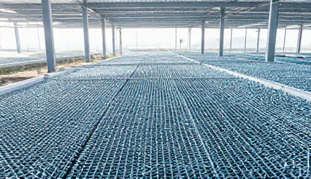 物流效率提升中高强度铆钉选型与使用建议