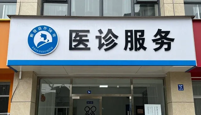 康复指导服务在多元化场景中的实际应用与发展趋势