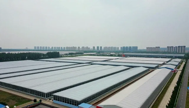 物联网性能优化中的系统开发选型关注点